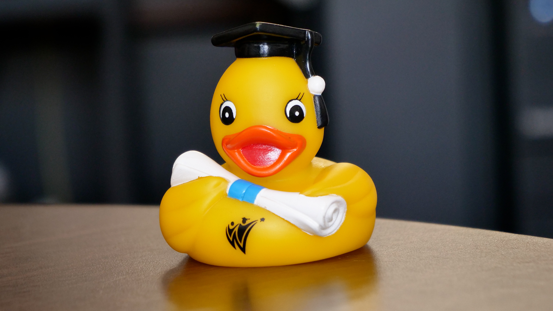  rubber ducky